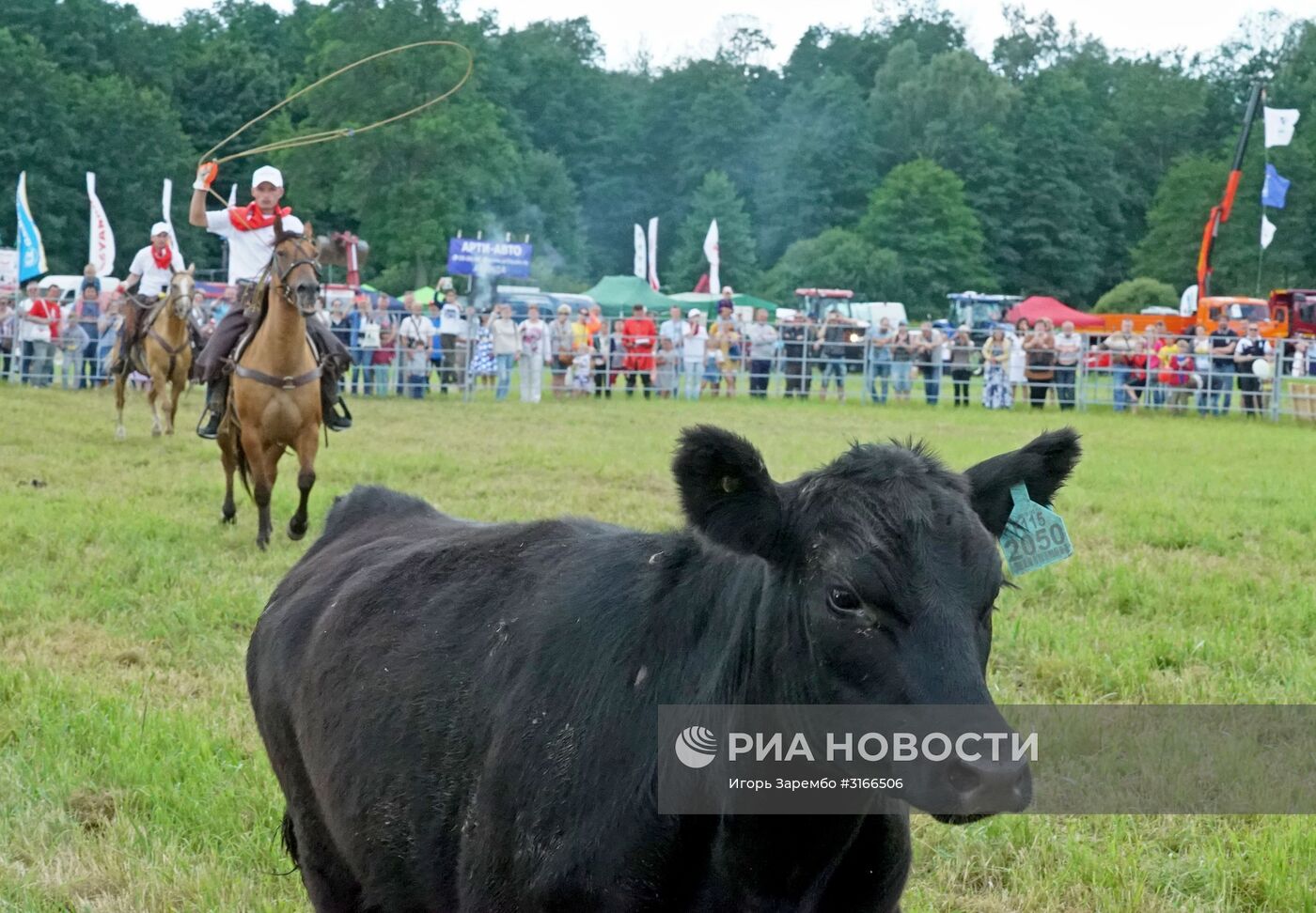 Агропромышленный фестиваль "День Балтийского поля-2017"