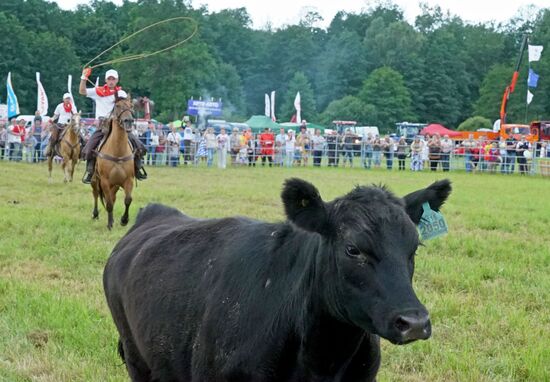 Агропромышленный фестиваль "День Балтийского поля-2017"