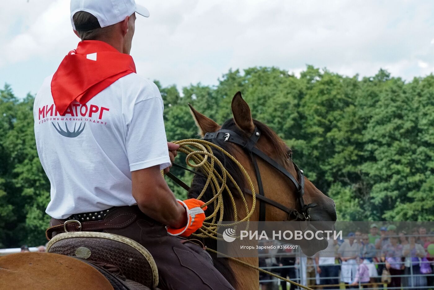 Агропромышленный фестиваль "День Балтийского поля-2017"