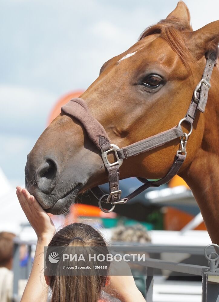 Агропромышленный фестиваль "День Балтийского поля-2017"
