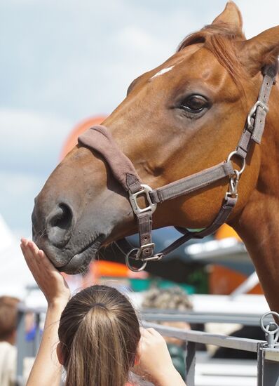 Агропромышленный фестиваль "День Балтийского поля-2017"