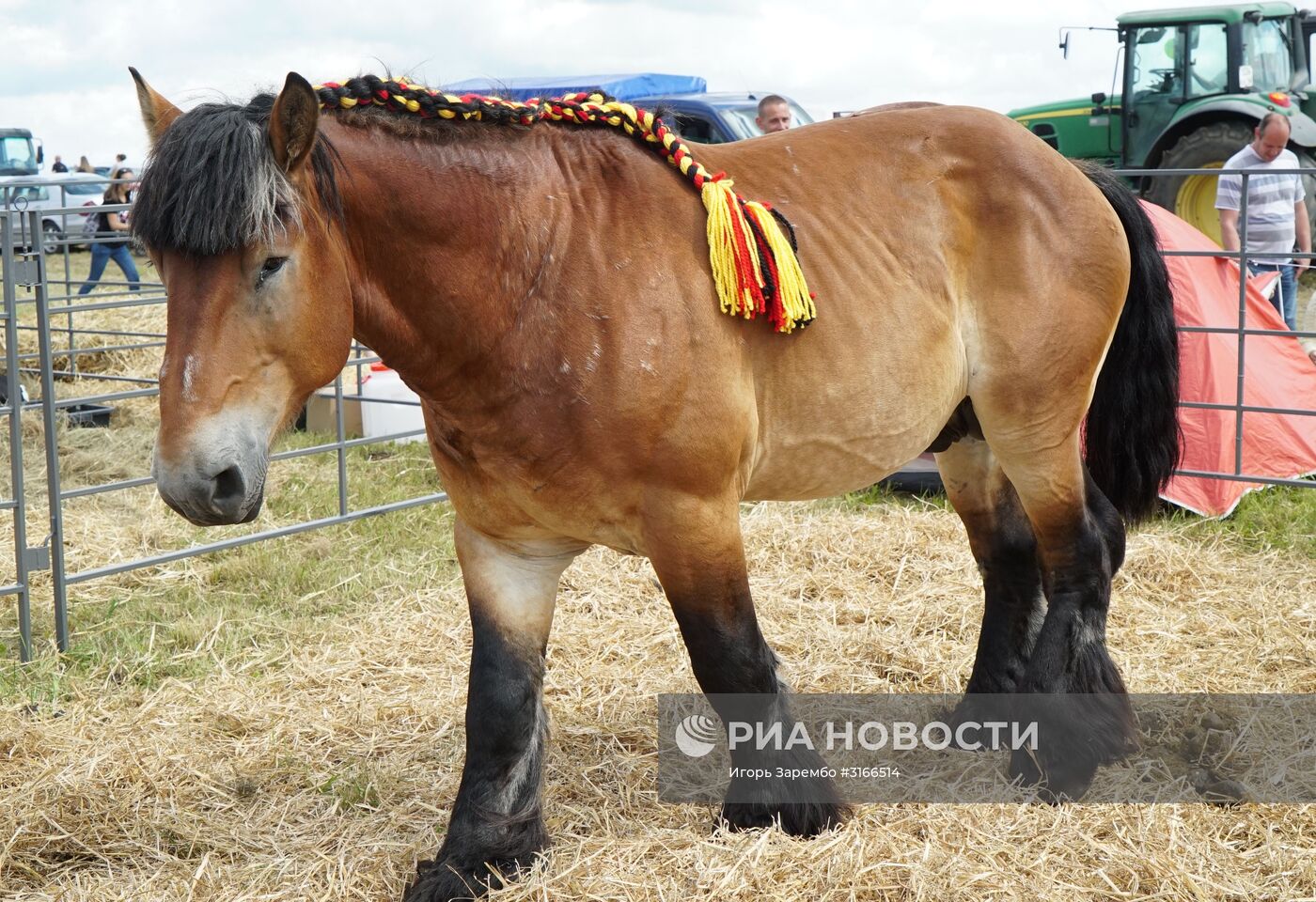 Агропромышленный фестиваль "День Балтийского поля-2017"