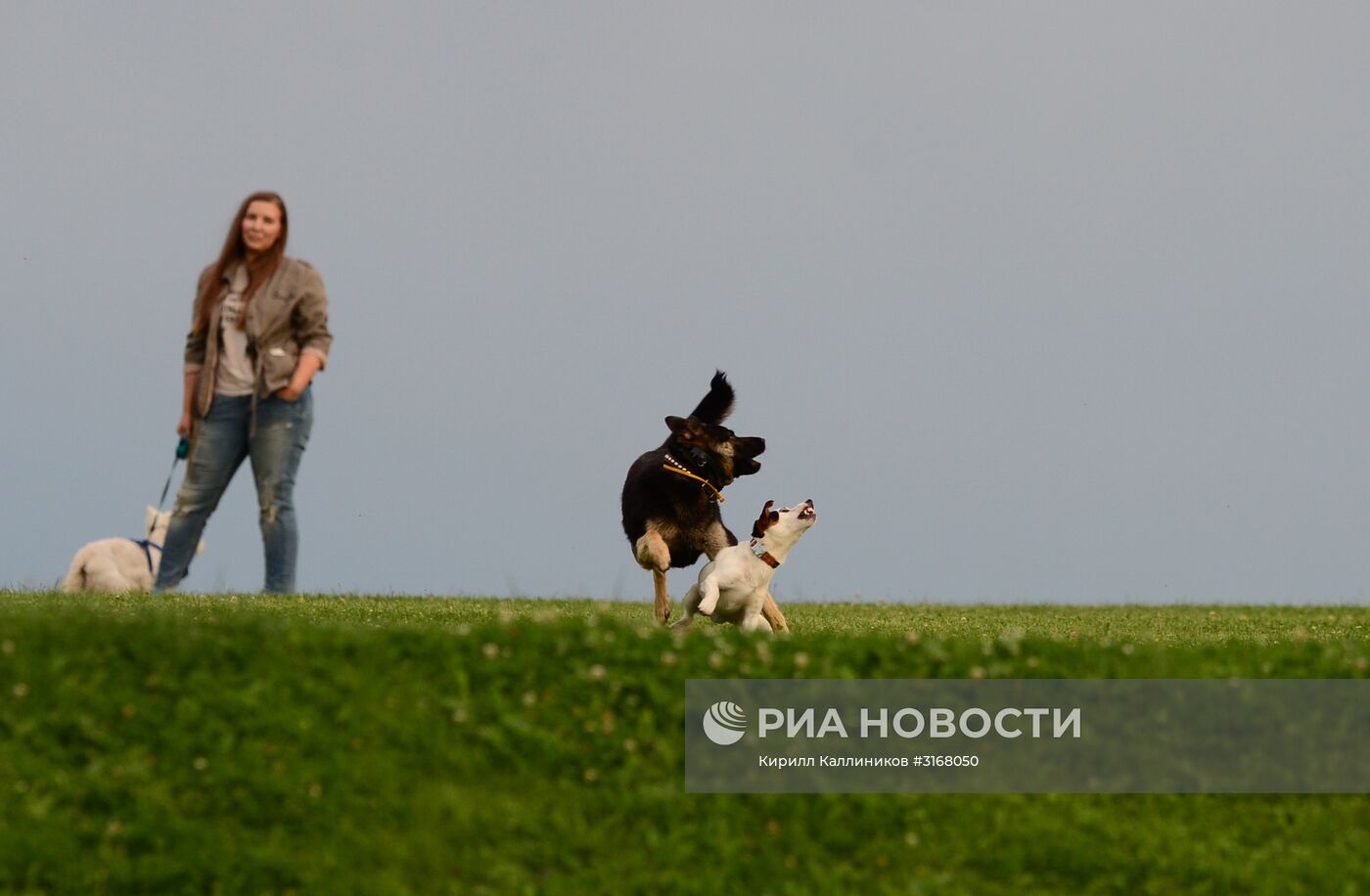 Повседневная жизнь