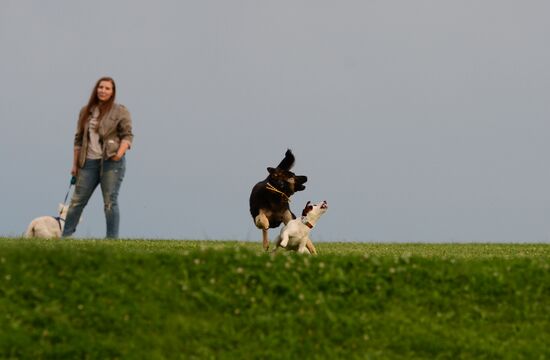 Повседневная жизнь