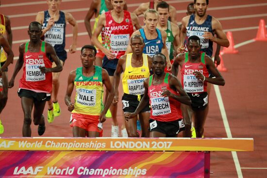 Легкая атлетика. Чемпионат мира. Пятый день