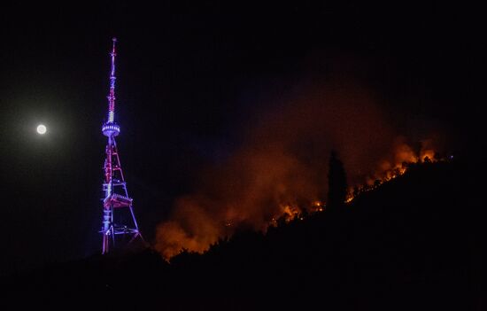 Пожар на горе Мтацминда в Тбилиси