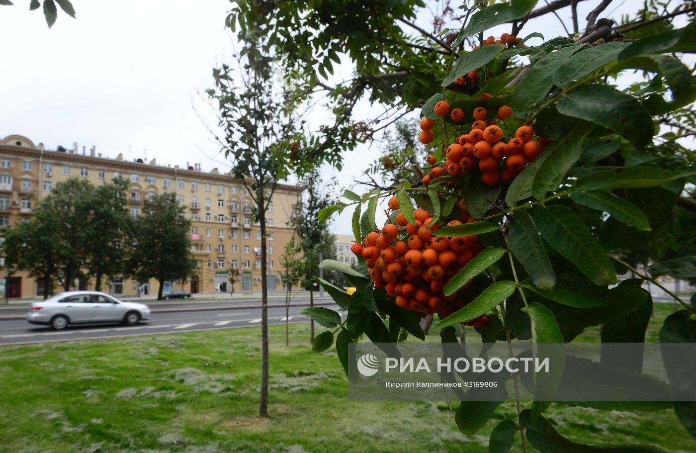 Благоустройство улиц в Москве