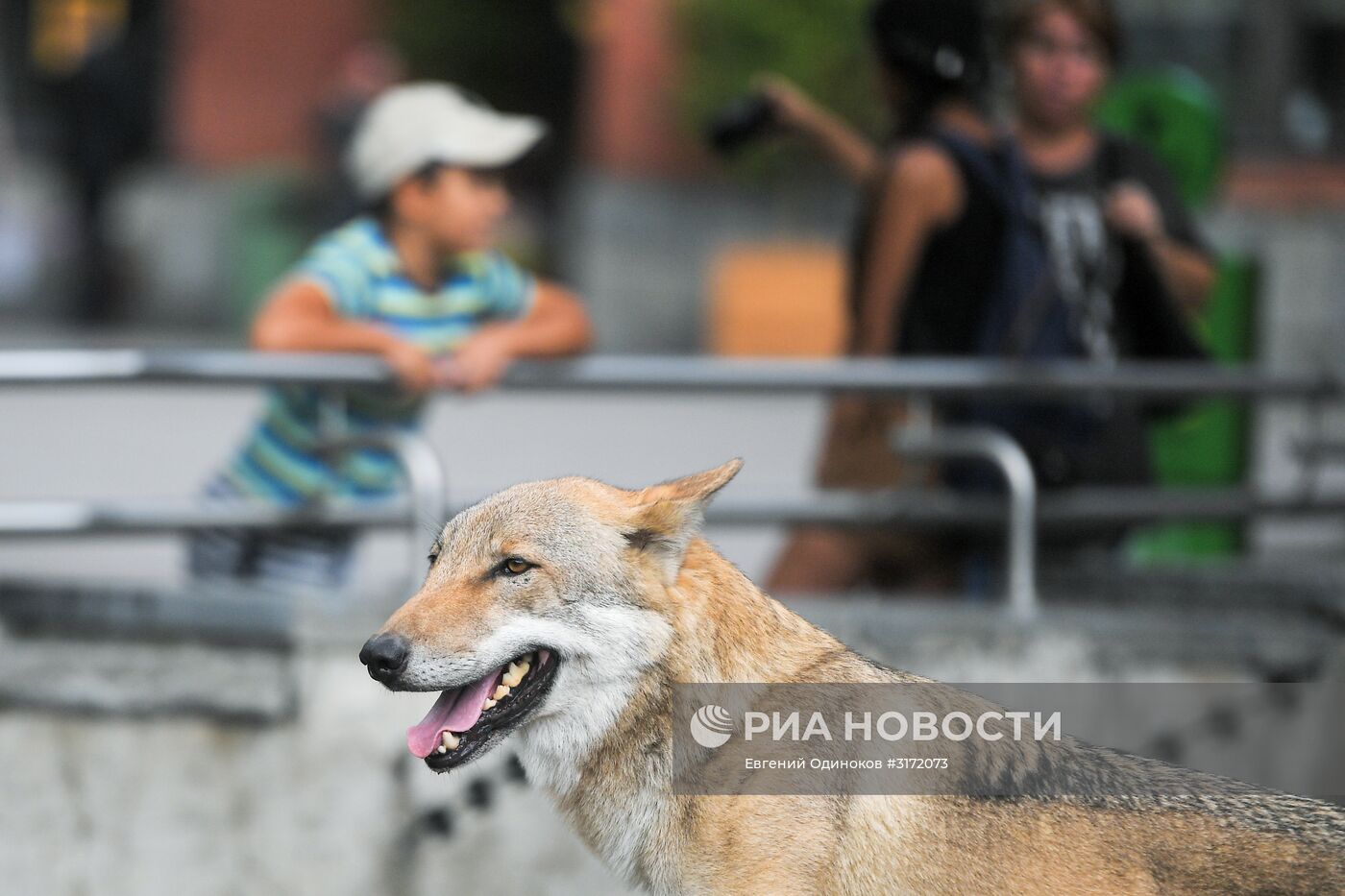 В Московском зоопарке появились новые обитатели
