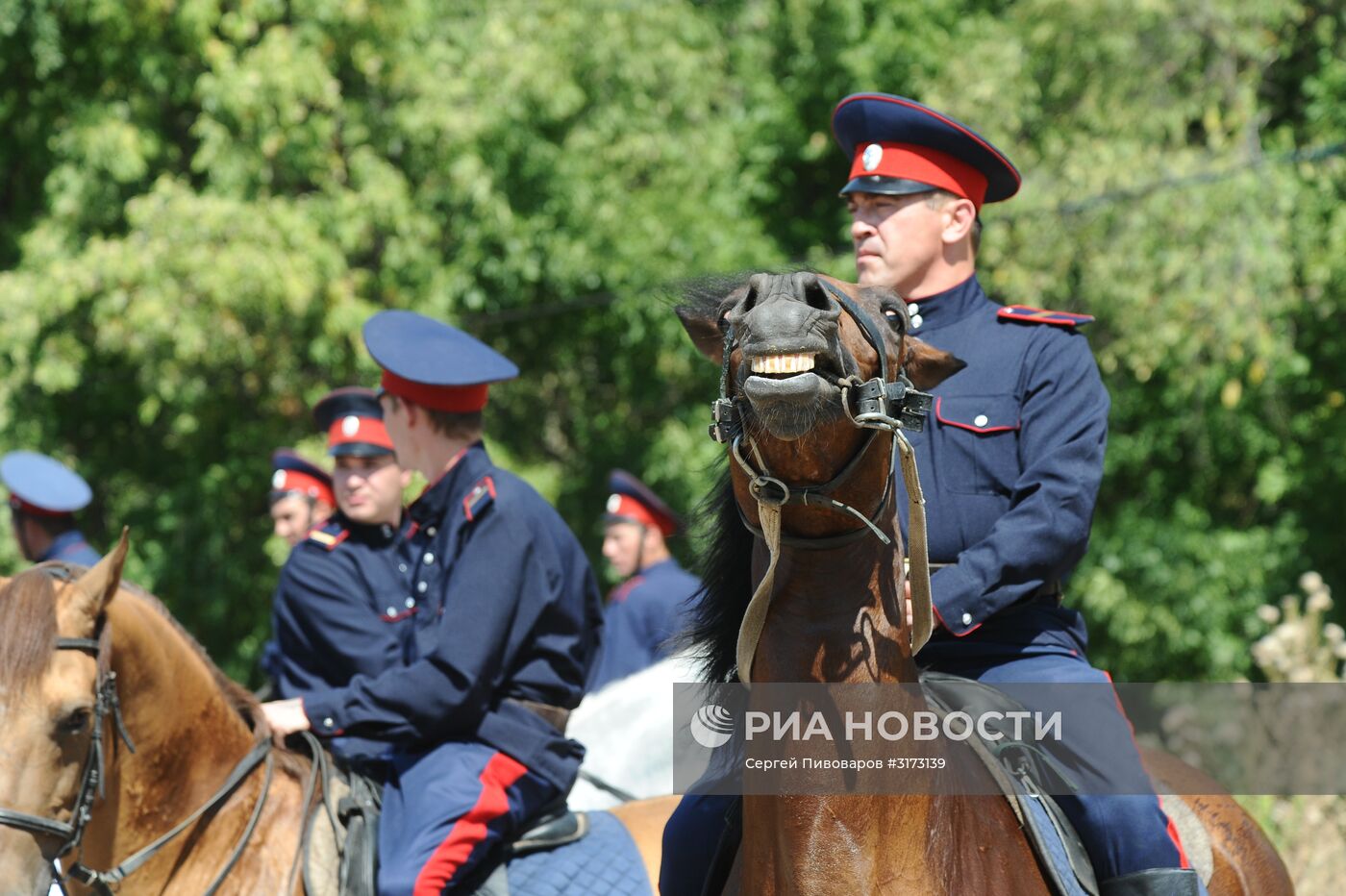 Казачий праздник в Ростовской области