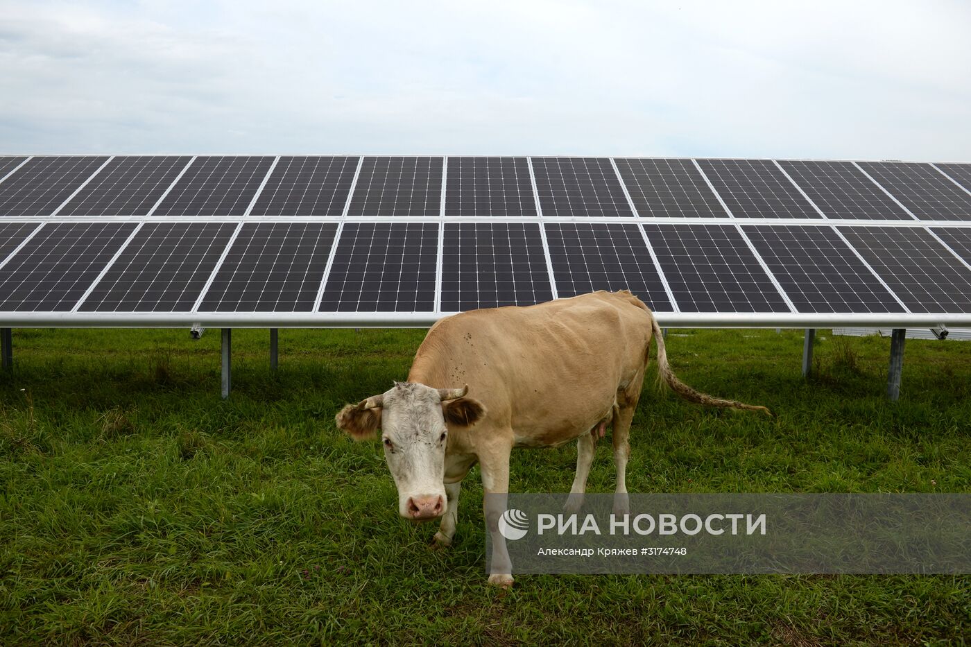 Майминская солнечная электростанция в Республике Алтай