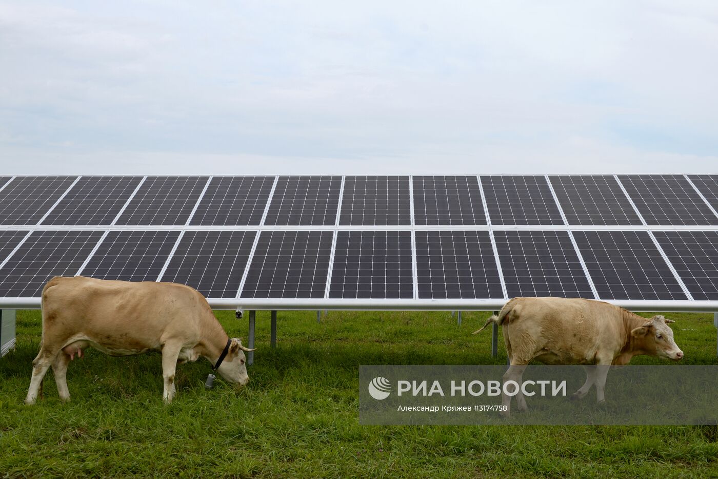 Майминская солнечная электростанция в Республике Алтай