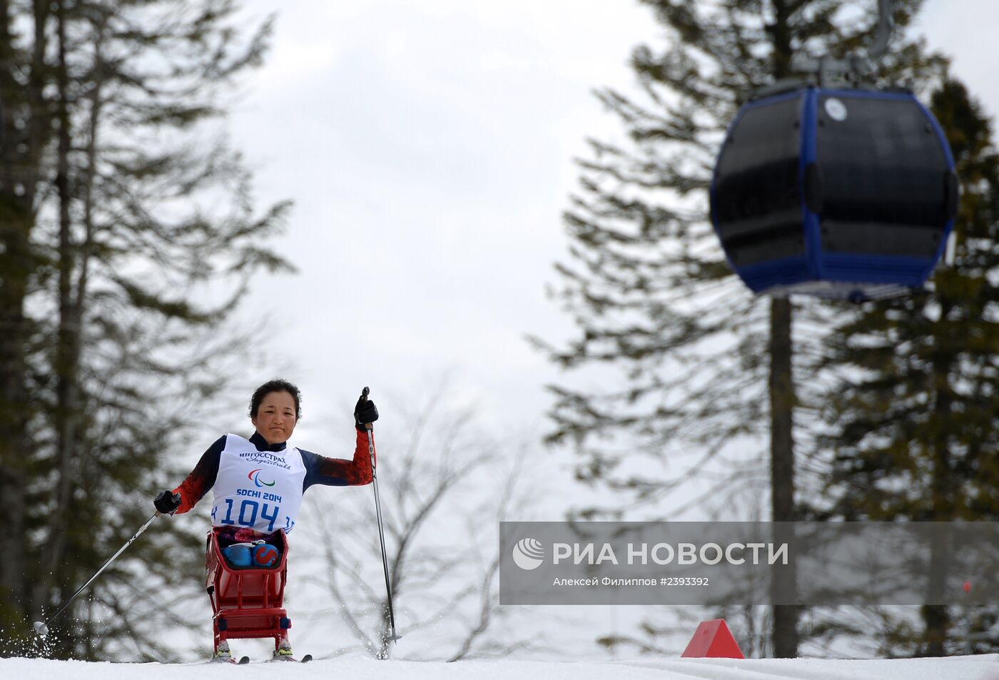 Паралимпиада 2014. Лыжные гонки. Женщины. 12 км