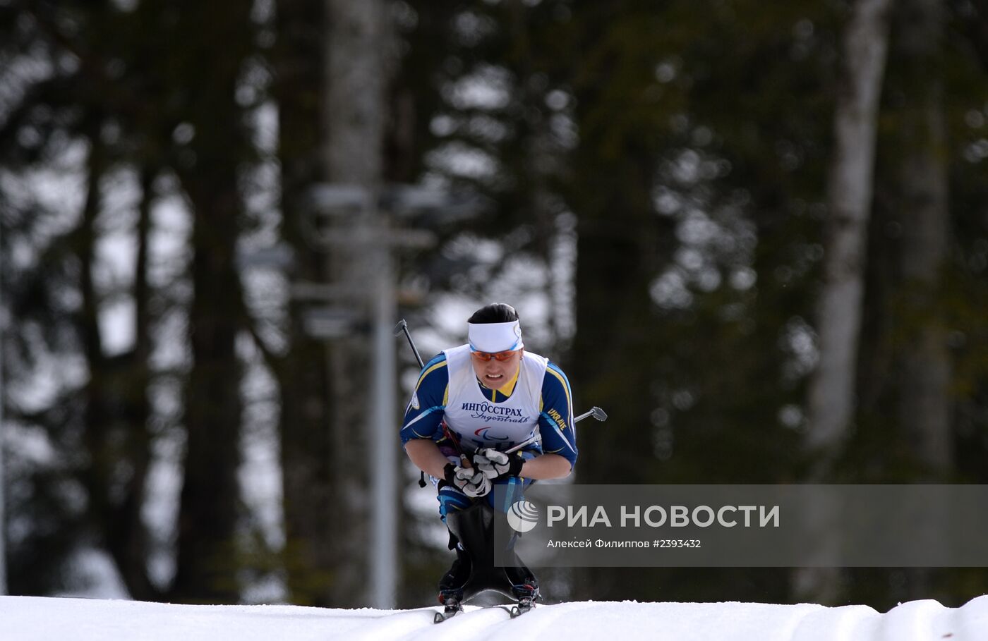 Паралимпиада 2014. Лыжные гонки. Женщины. 12 км