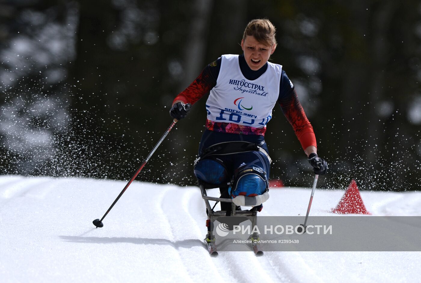 Паралимпиада 2014. Лыжные гонки. Женщины. 12 км