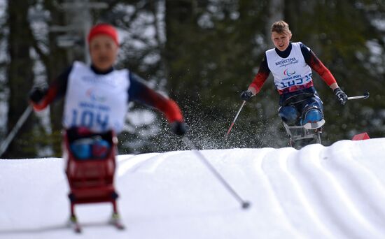 Паралимпиада 2014. Лыжные гонки. Женщины. 12 км