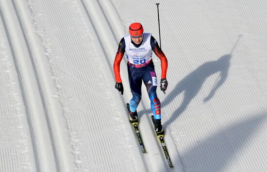 Паралимпиада 2014. Лыжные гонки. Мужчины. 20 км