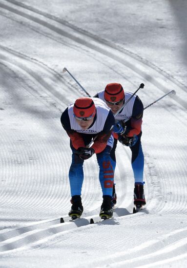 Паралимпиада 2014. Лыжные гонки. Мужчины. 20 км