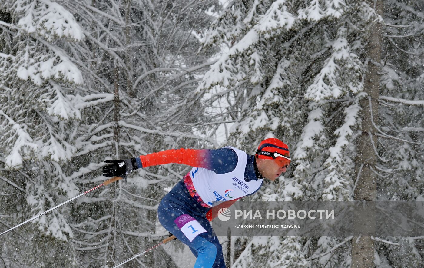 Паралимпиада 2014. Лыжные гонки. Мужчины. Спринт