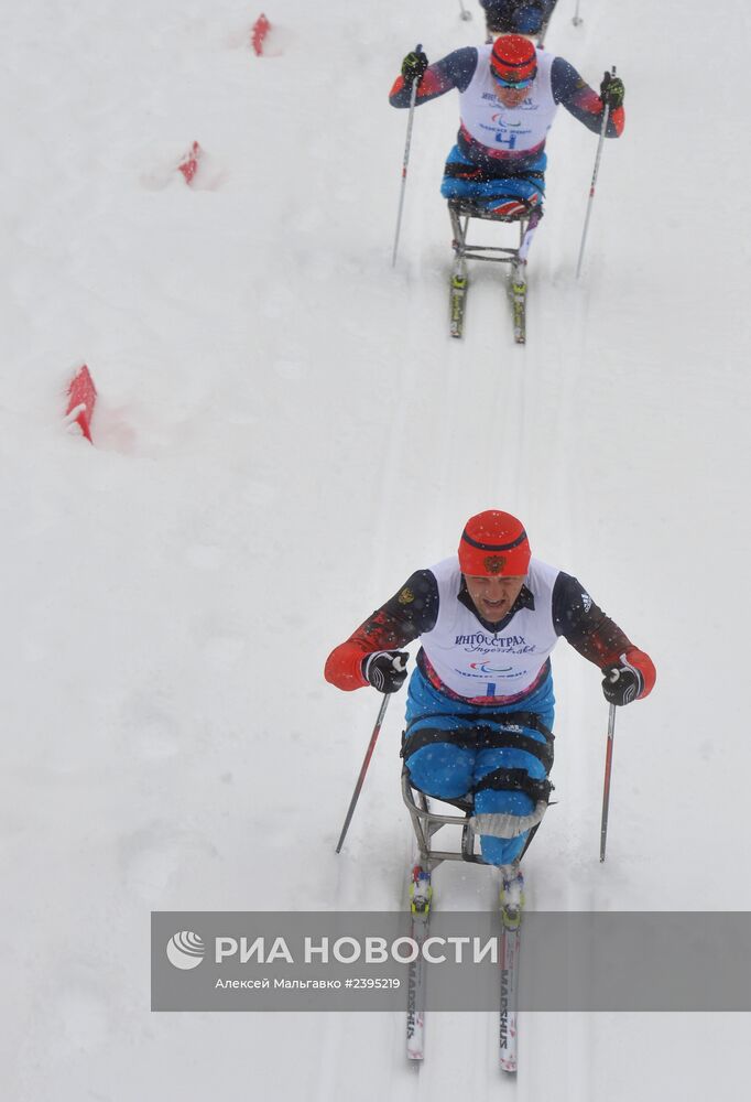 Паралимпиада 2014. Лыжные гонки. Мужчины. Спринт