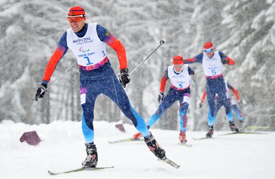 Паралимпиада 2014. Лыжные гонки. Мужчины. Спринт