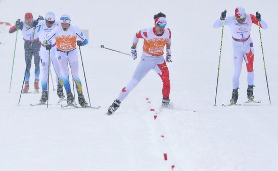 Паралимпиада 2014. Лыжные гонки. Мужчины. Спринт