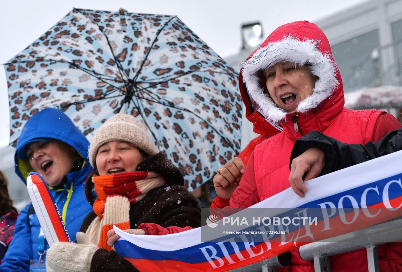 Паралимпиада 2014. Лыжные гонки. Мужчины. Спринт