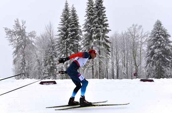 Паралимпиада 2014. Лыжные гонки. Мужчины. Спринт