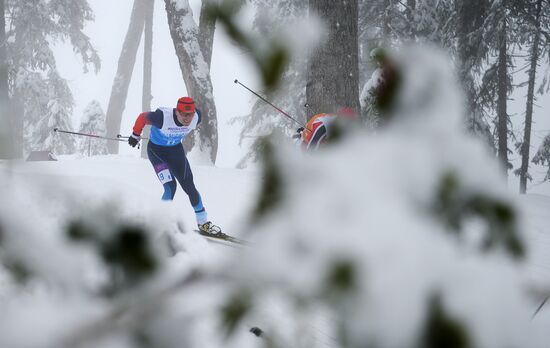 Паралимпиада 2014. Лыжные гонки. Смешанная эстафета