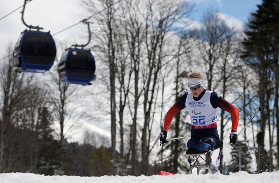 Паралимпиада 2014. Лыжные гонки. Мужчины. 10 км