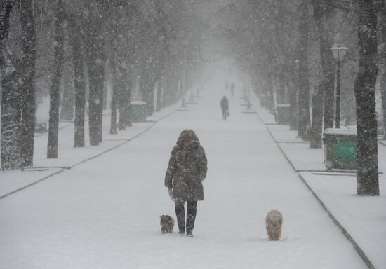 Снегопад в Москве