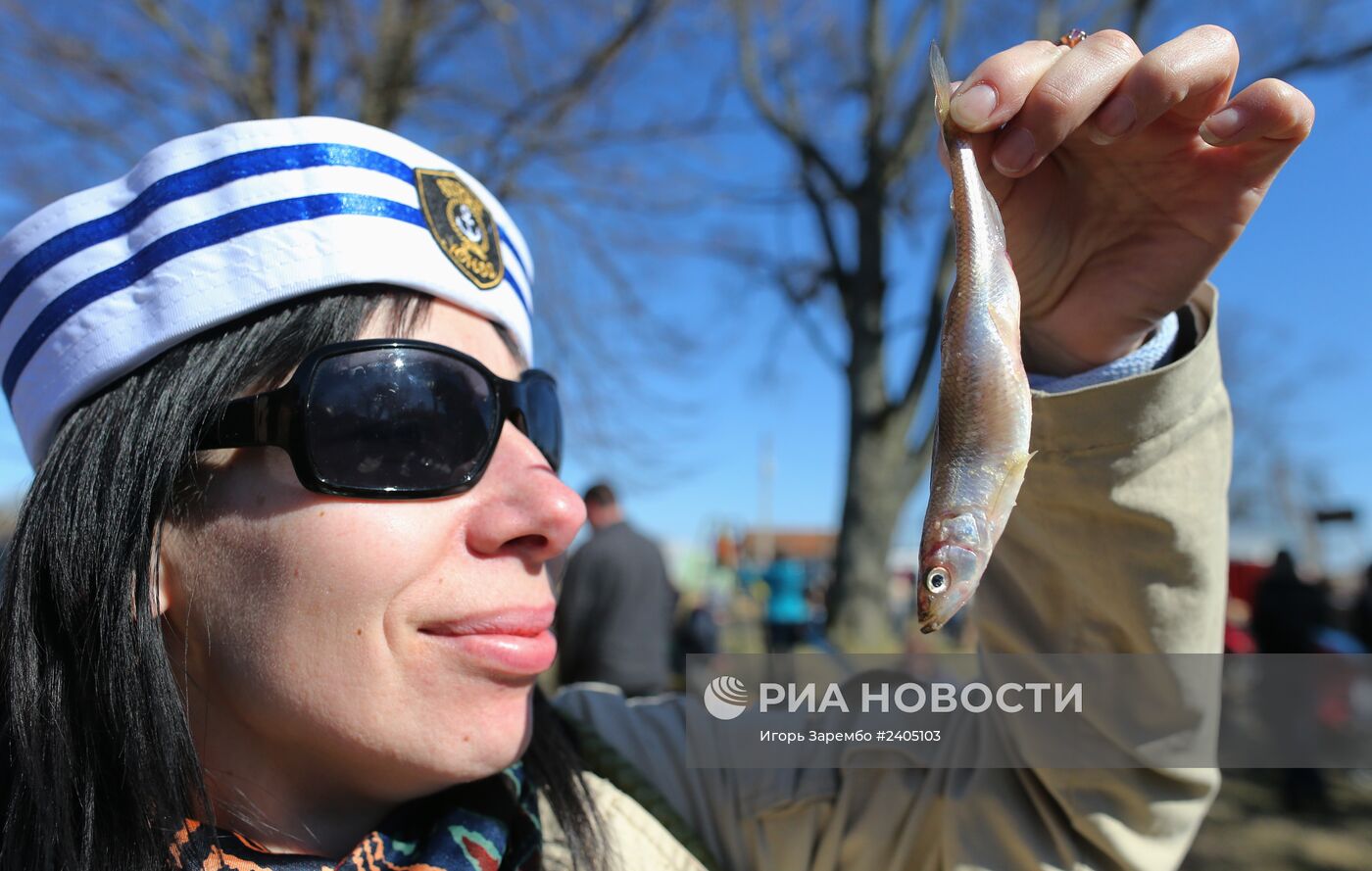 В Калининградской области впервые отметили "День корюшки"