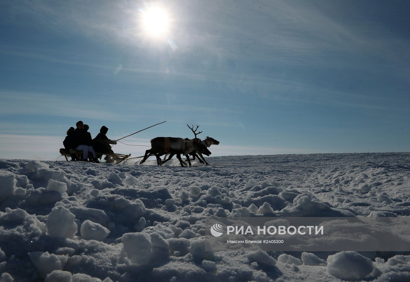 Праздник День оленевода в Салехарде