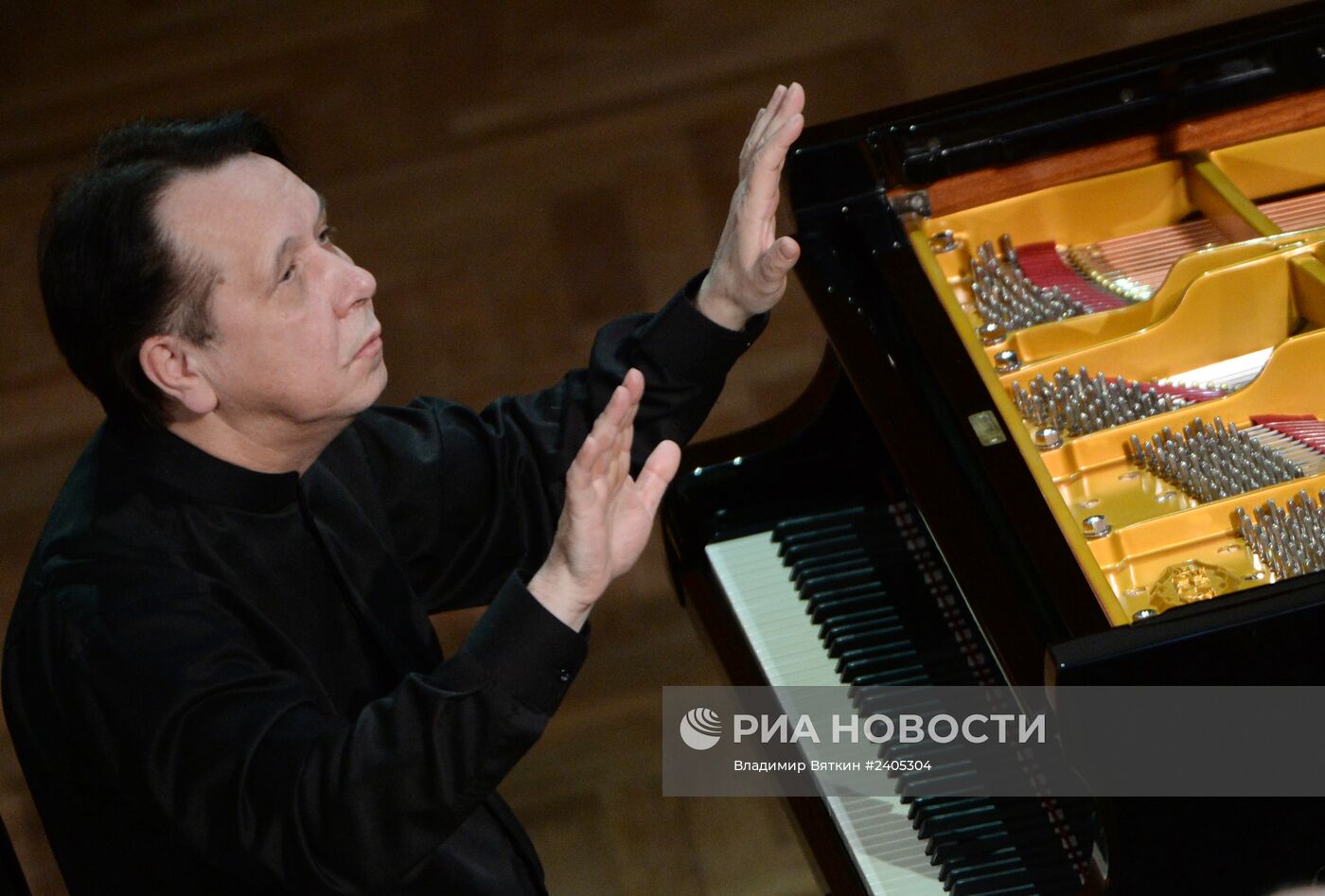 Концерт Российского национального оркестра под управлением Михаила Плетнева