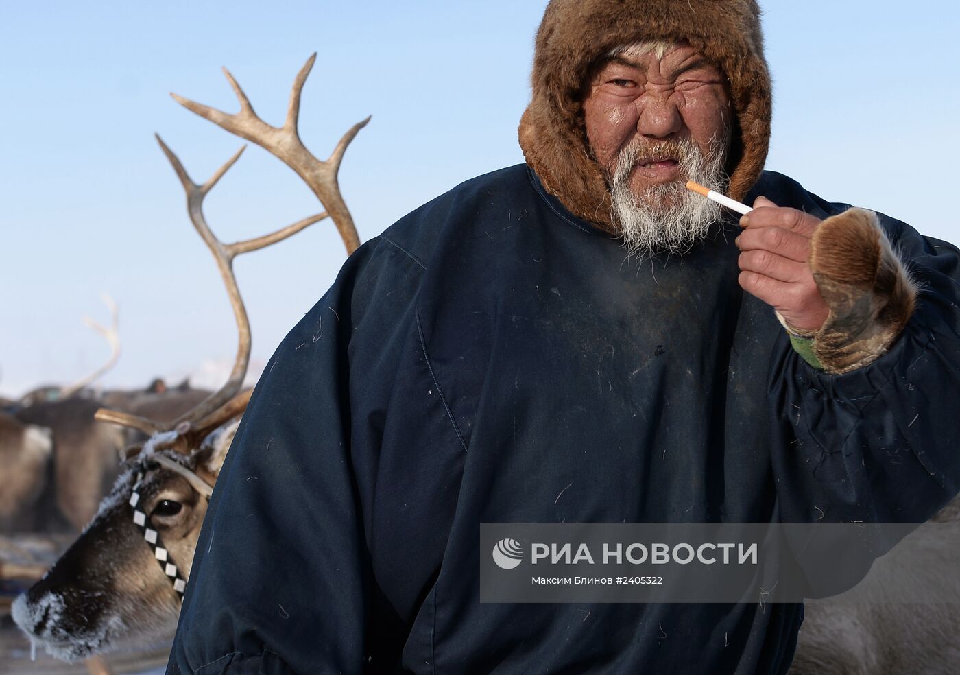 Праздник День оленевода в Салехарде