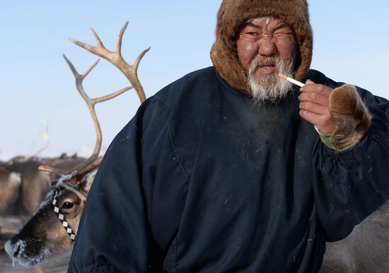 Праздник День оленевода в Салехарде