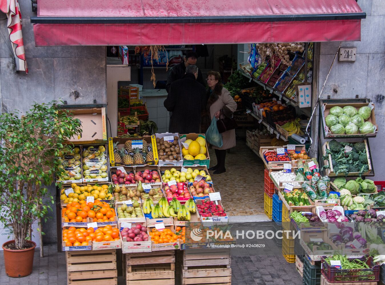 Страны мира. Италия