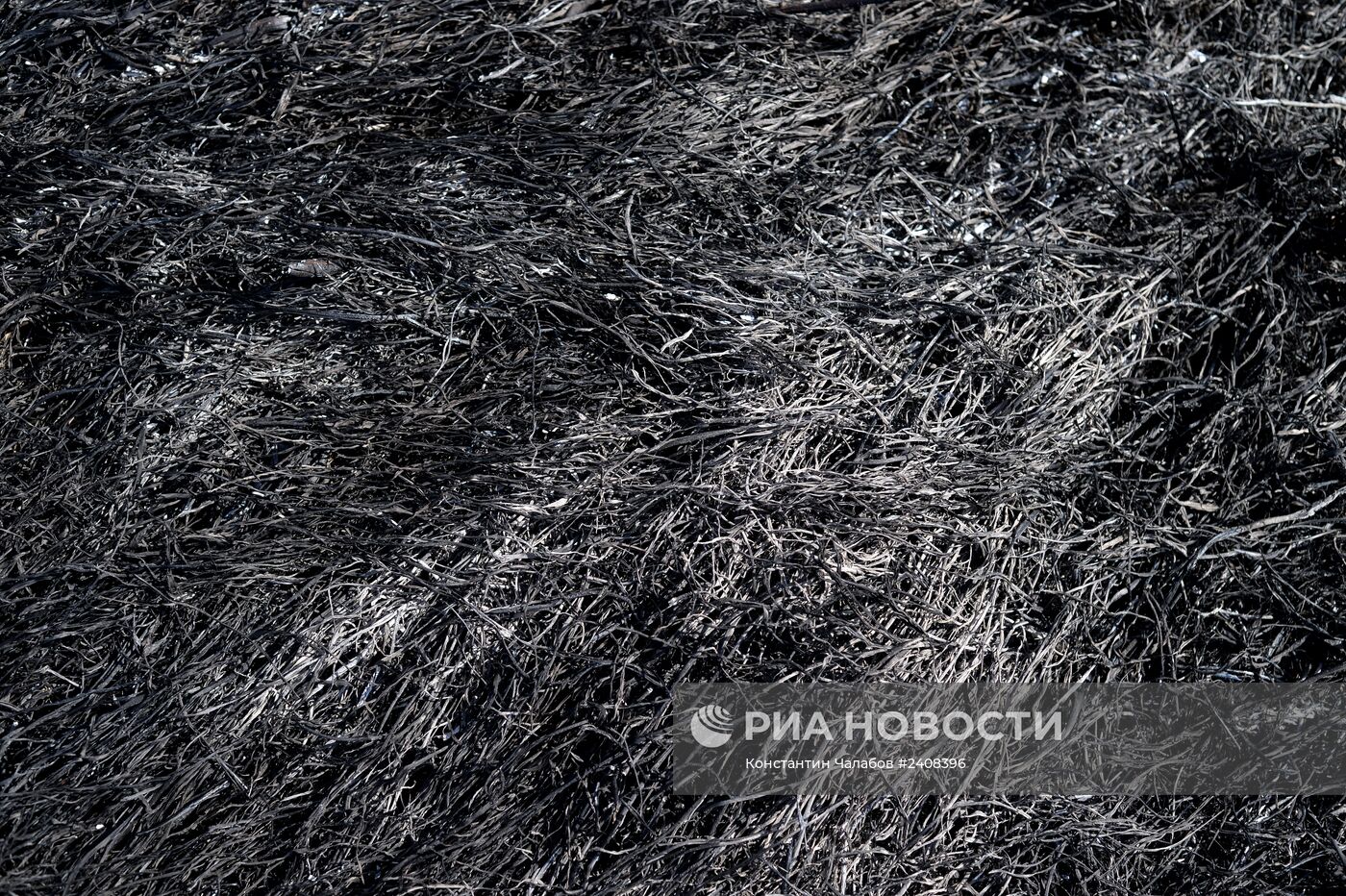 Пал сухой травы в Великом Новгороде