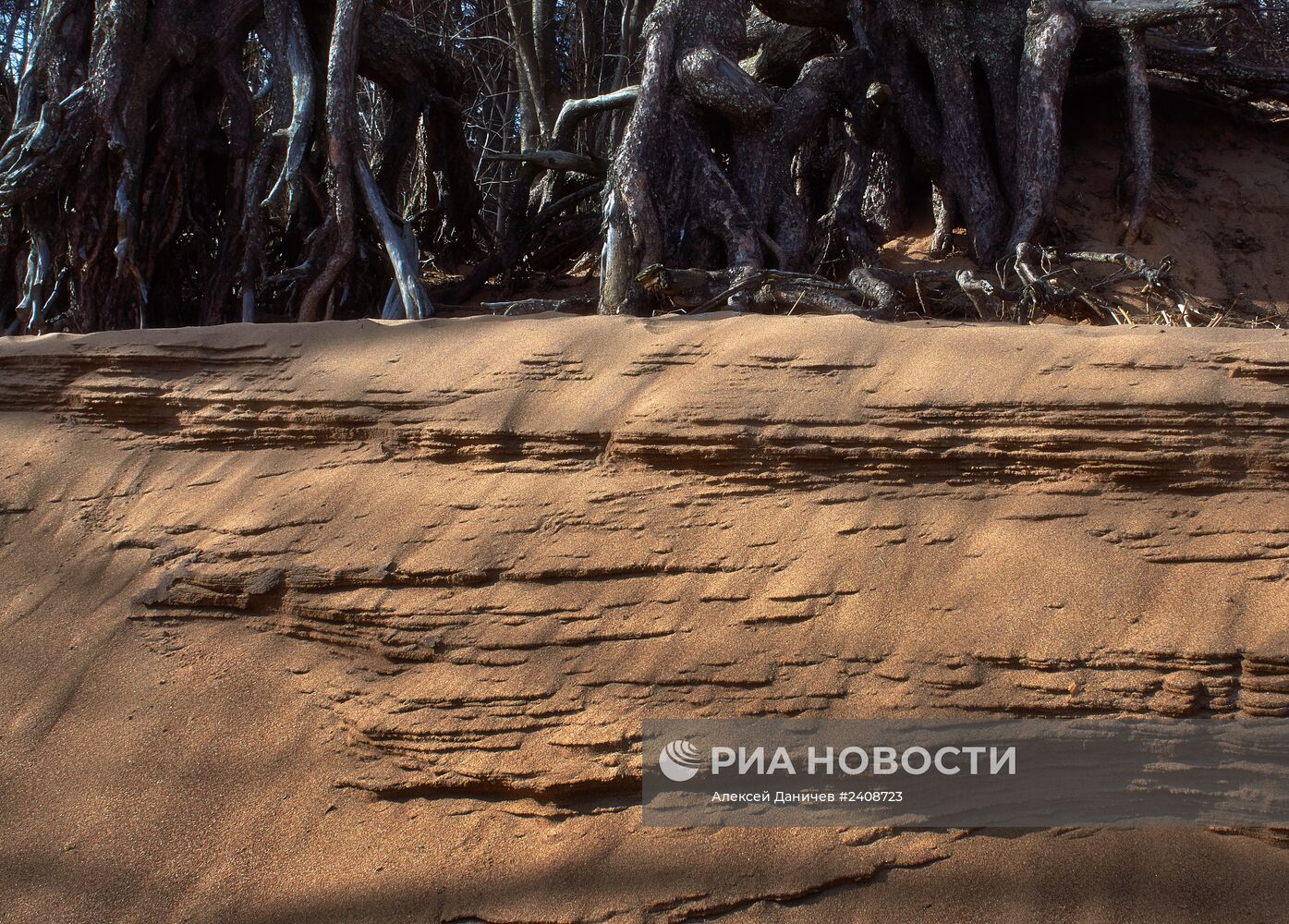 Побережье Финского залива в курортном районе Санкт-Петербурга