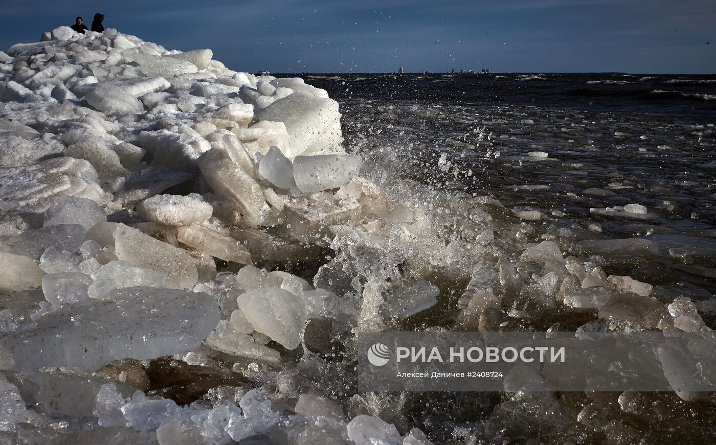 Побережье Финского залива в курортном районе Санкт-Петербурга