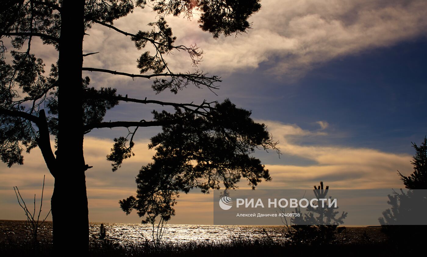 Побережье Финского залива в курортном районе Санкт-Петербурга