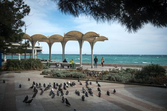 Города России. Ялта