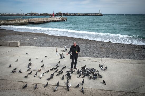 Города России. Ялта