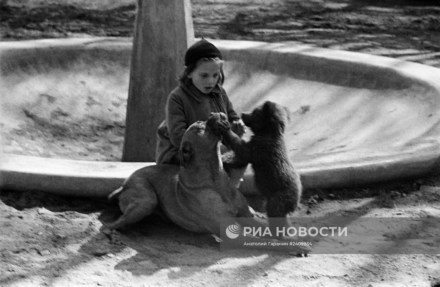 Великая Отечественная война 1941-1945 гг.