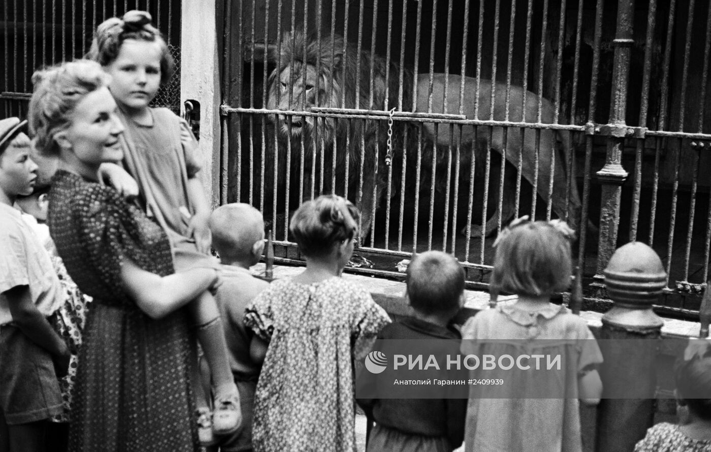 Великая Отечественная война 1941-1945 гг.