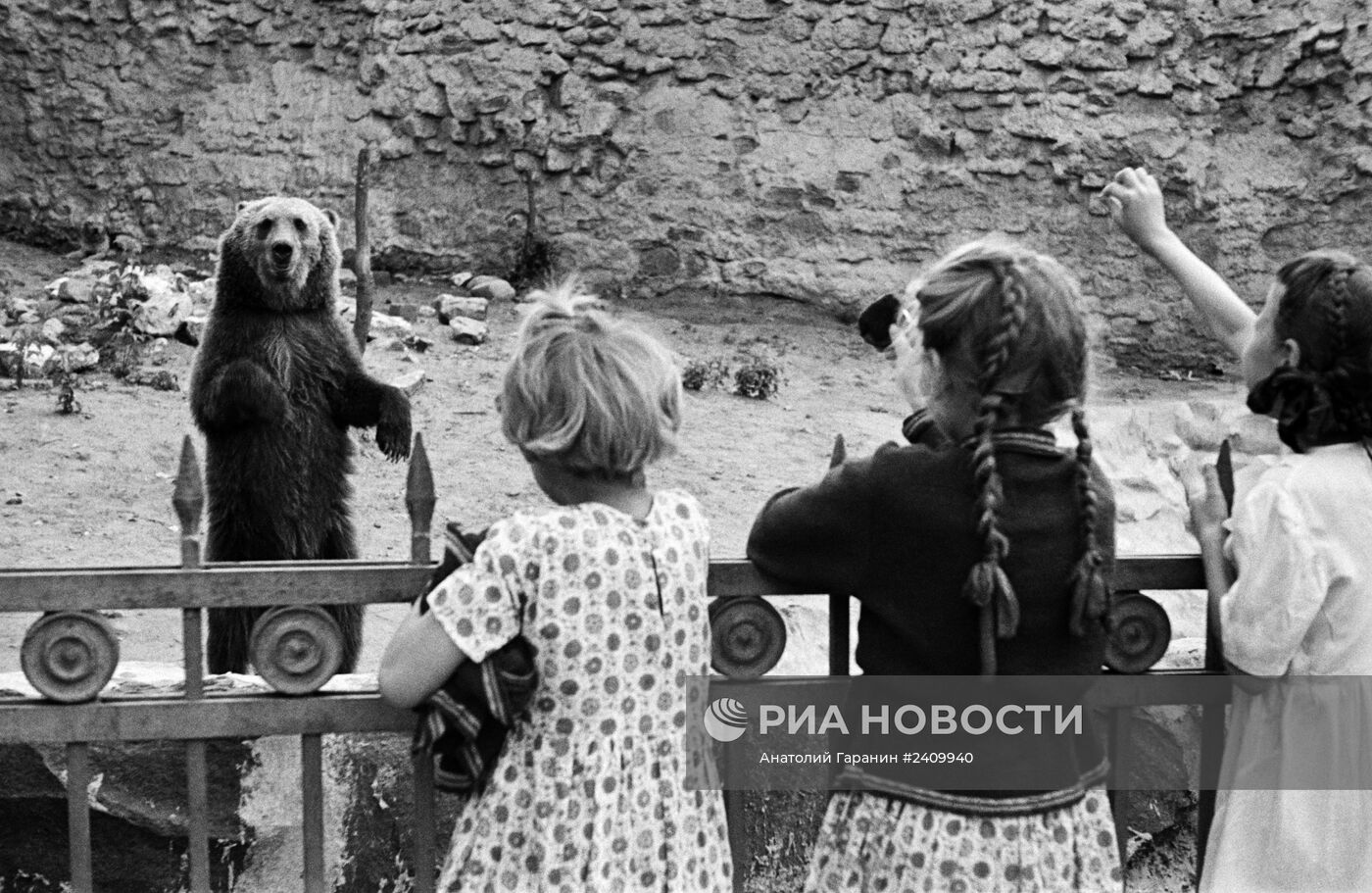 Великая Отечественная война 1941-1945 гг.