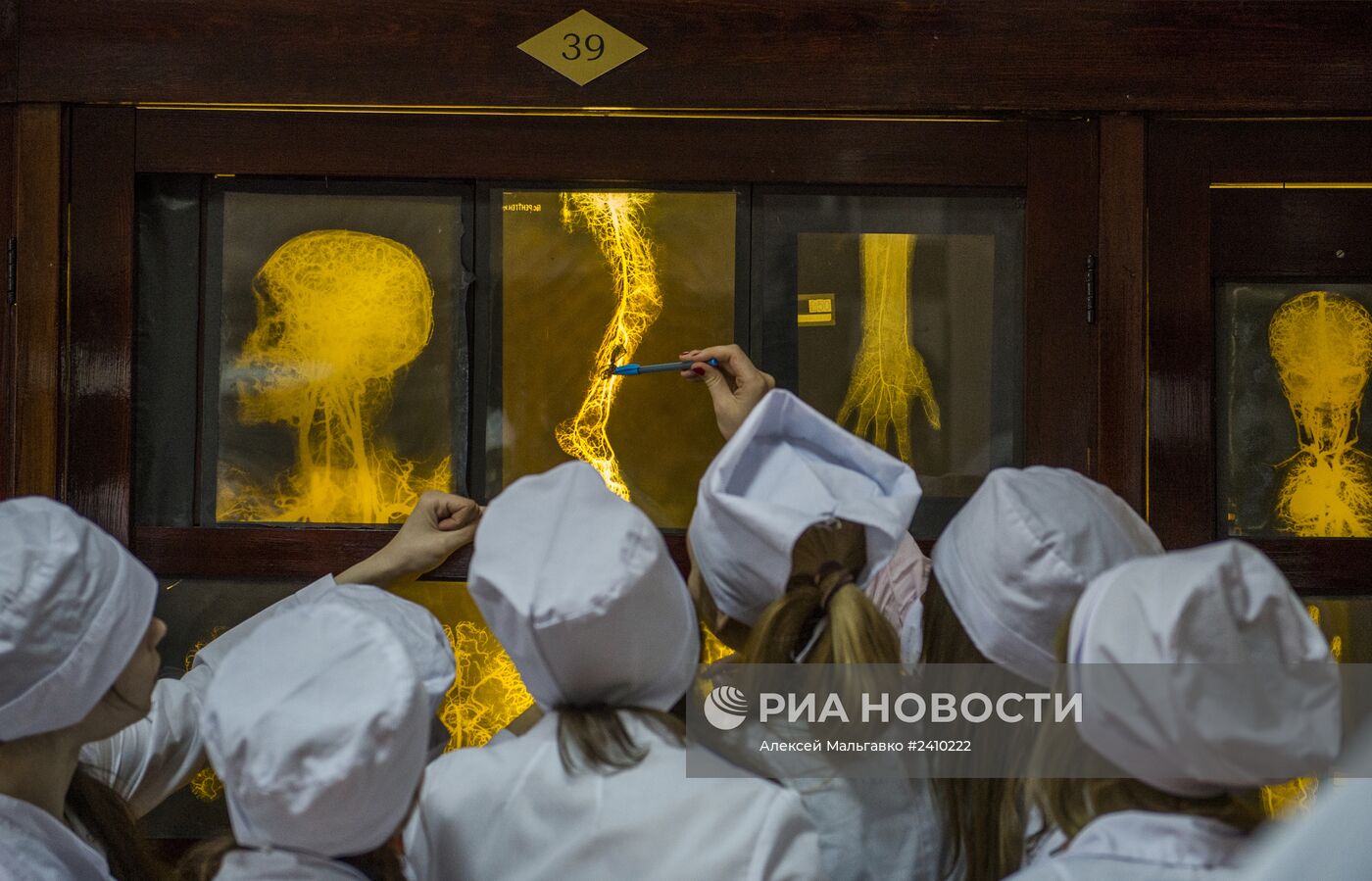 Обучение студентов в Омской медицинской академии