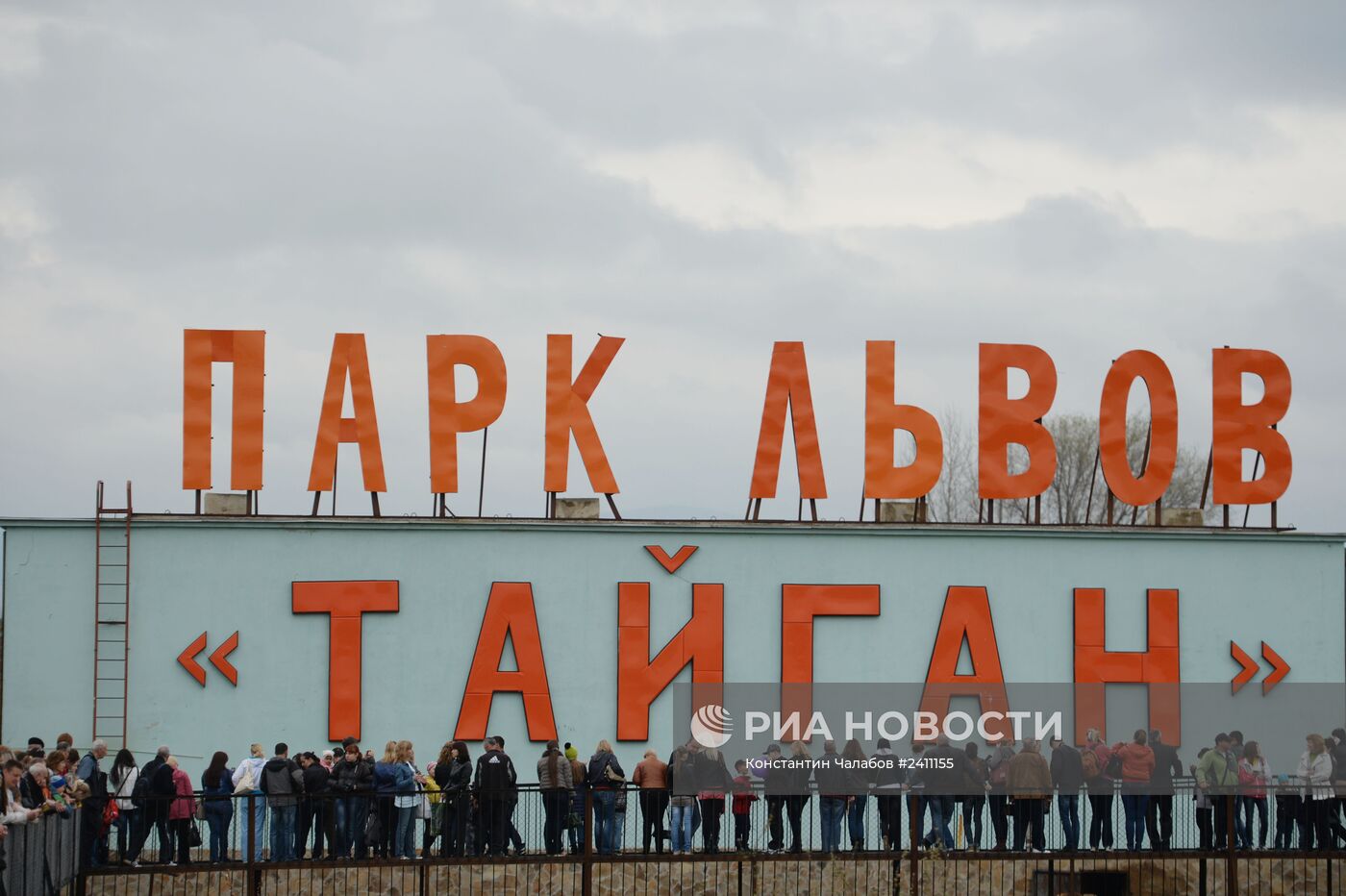 Парк львов "Тайган" в Крыму