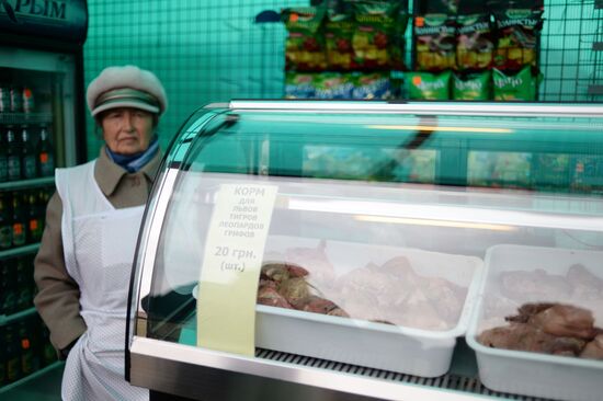 Парк львов "Тайган" в Крыму