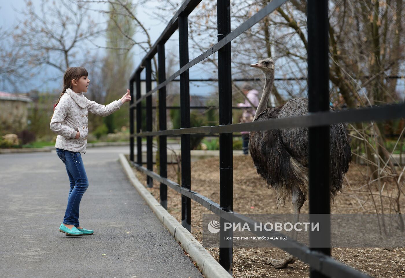 Парк львов "Тайган" в Крыму