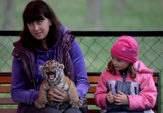 Парк львов "Тайган" в Крыму
